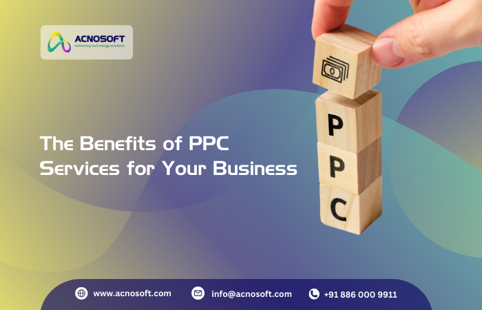 PPC Services Delhi