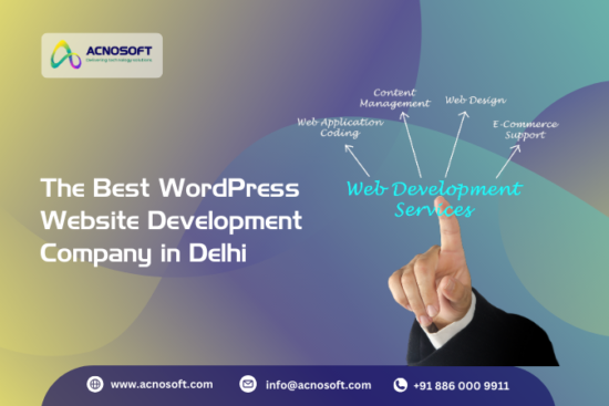 WordPress Development Agency Delhi