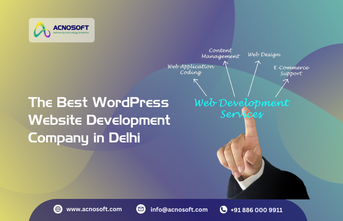 WordPress Development Agency Delhi