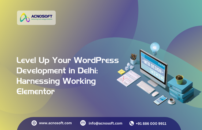 Wordpress Development Services Delhi