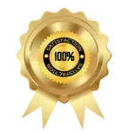 Certified Web Agency in Delhi